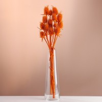 Набор сухоцветов "Ворсянка", банч 7-8 шт, длина 50 (+/- 6 см), оранжевый: 