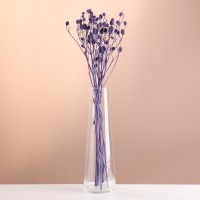Набор сухоцветов "Эрингиум", банч 5 шт, длина 50 (+/- 6 см), фиолетовый: 