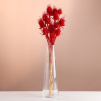Набор сухоцветов "Ворсянка", банч 7-8 шт, длина 50 (+/- 6 см), красный: 