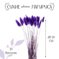 Сухие цветы лагуруса, набор 30 шт., цвет фиолетовый: 