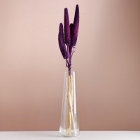 Набор сухоцветов "Африканское просо", банч 3-5 шт, длина 60 (+/- 6 см), фиолетовый: 