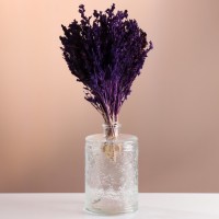Набор сухоцветов "Шандра", банч длина 40 (+/- 6 см), фиолетовый: 