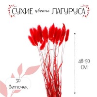 Сухие цветы лагуруса, набор 30 шт., цвет красный: 