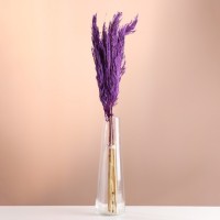 Набор сухоцветов "Камыш", банч длина 65 (+/- 6 см), фиолетовый: 