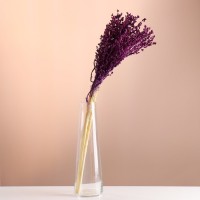 Набор сухоцветов "Сорго", банч 3-5 шт, длина 60 (+/- 6 см), фиолетовый: 