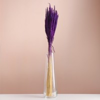 Набор сухоцветов "Вейник", банч длина 65 (+/- 6 см), фиолетовый: 