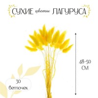 Сухие цветы лагуруса, набор 30 шт., цвет жёлтый: 