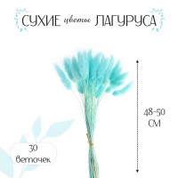 Сухие цветы лагуруса, набор 30 шт., цвет голубой: 
