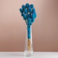 Набор сухоцветов "Ворсянка", банч 7-8 шт, длина 50 (+/- 6 см), ярко-синий: 