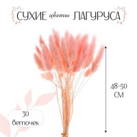 Сухие цветы лагуруса, набор 30 шт., цвет розовый: 