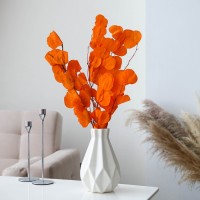 Сухоцвет персикого дерева, 50 г, длина — 70 см, цвет оранжевый: 