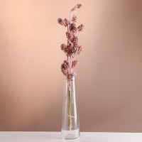 Набор сухоцветов "Солодка", банч 3 шт, длина 60 (+/- 6 см), розовый: 