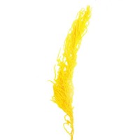 Сухие цветы амаранта, 100 г, размер листа: от 50 до 60 см, цвет жёлтый: 