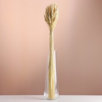 Набор сухоцветов "Пшеница", банч 35-40 шт, длина 55-65 (+/- 6 см), выбеленный: 