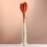 Набор сухоцветов "Пшеница", банч 35-40 шт, длина 55-65 (+/- 6 см), оранжевый: 