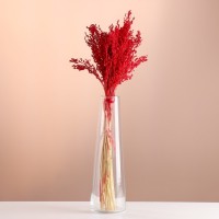 Набор сухоцветов "Просо", банч длина 45 (+/- 6 см), красный: 