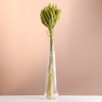 Набор сухоцветов "Пшеница", банч 35-40 шт, длина 60-65 (+/- 6 см), зелёный: 