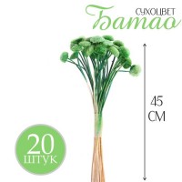 Сухоцвет «Батао» набор 20 шт., цвет зелёный: 