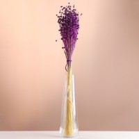 Набор сухоцветов "Лён-долгунец", банч длина 55-60 (+/- 6 см), фиолетовый: 