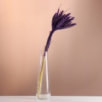 Набор сухоцветов "Сетария", банч 7 шт, длина 55-65 (+/- 6 см), фиолетовый: 